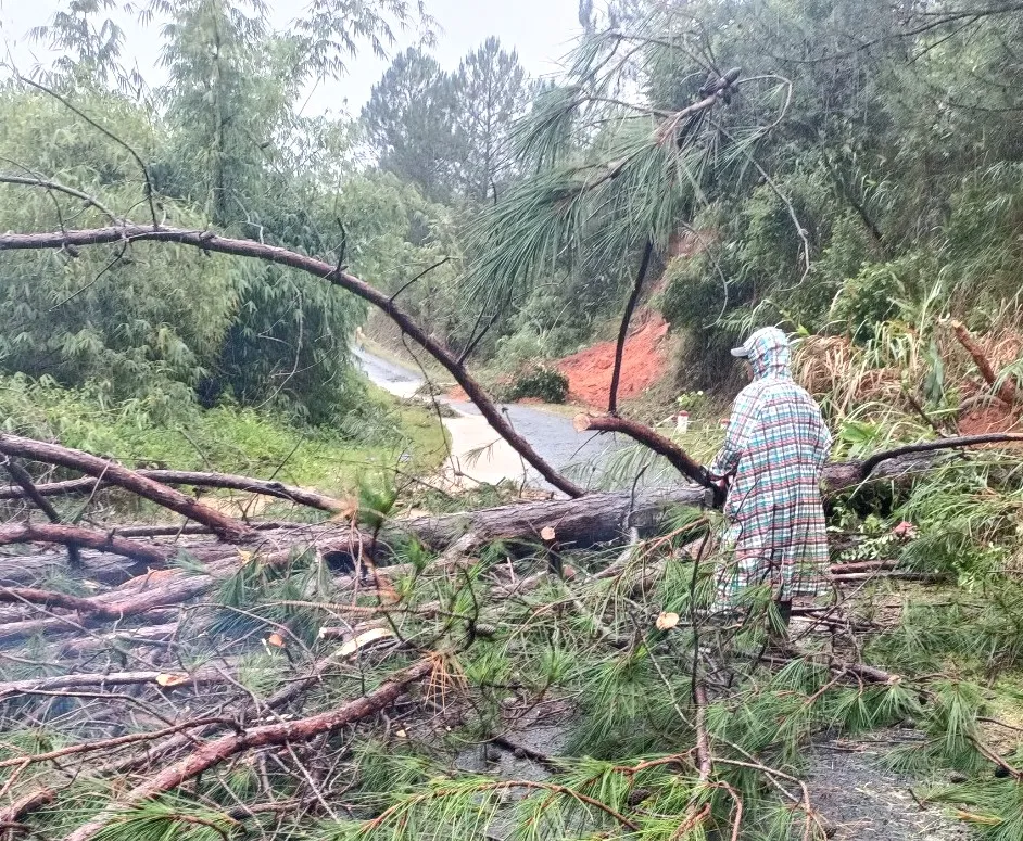 Bắc Tây Nguyên gánh chịu nhiều thiệt hại do bão số 4 ảnh 3
