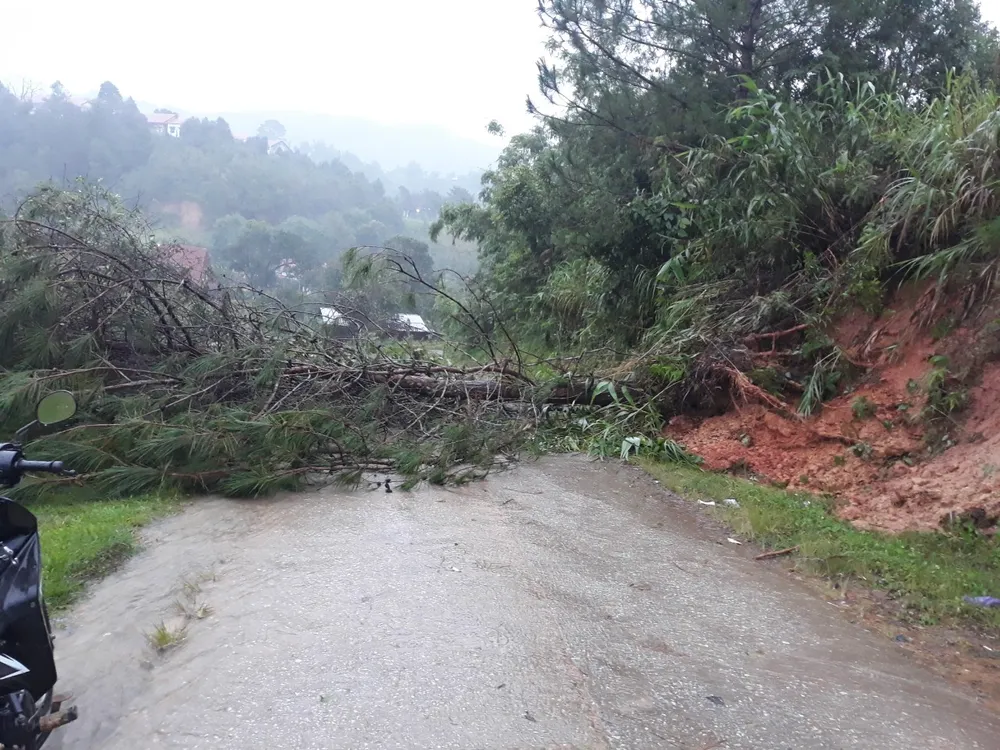 Bắc Tây Nguyên gánh chịu nhiều thiệt hại do bão số 4 ảnh 8
