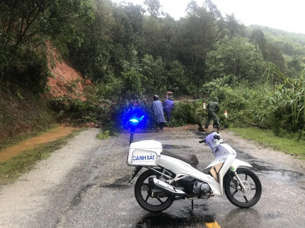 Bắc Tây Nguyên gánh chịu nhiều thiệt hại do bão số 4 ảnh 10