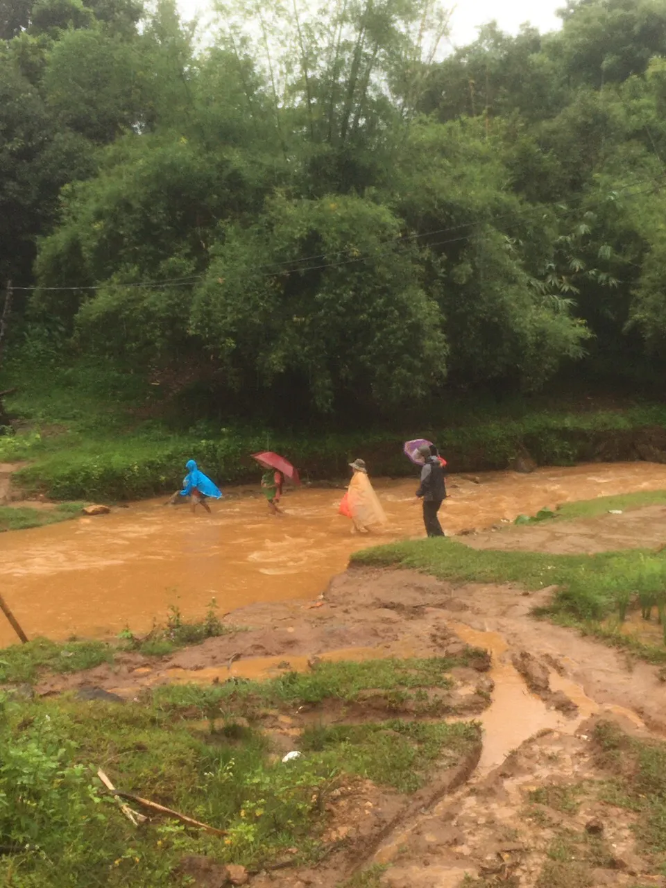 Ấm áp bữa cơm chạy bão của đồng bào Tây Nguyên ảnh 8
