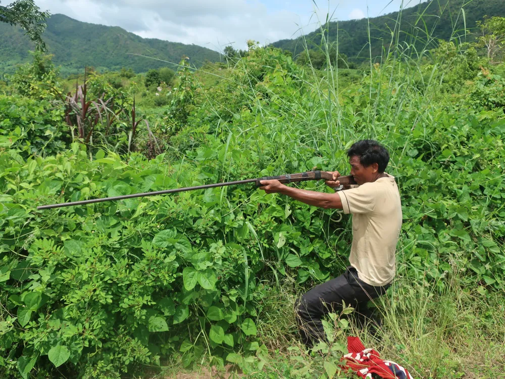Bắn gà, chết người ảnh 1