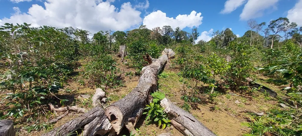 25 dự án đầu tư ở huyện Kon Plông mắc hàng loạt sai phạm ảnh 2