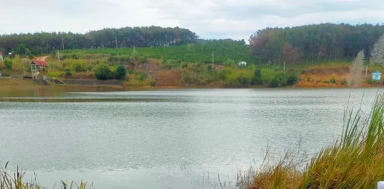 Hiện trường vụ việc