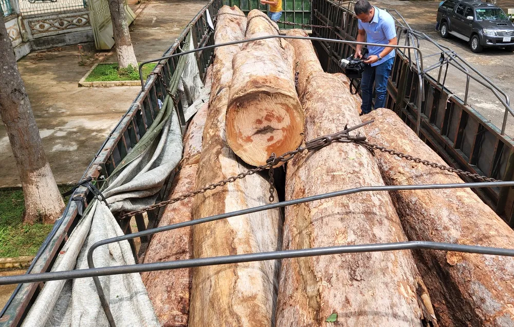 Xe chở gỗ bị tạm giữ