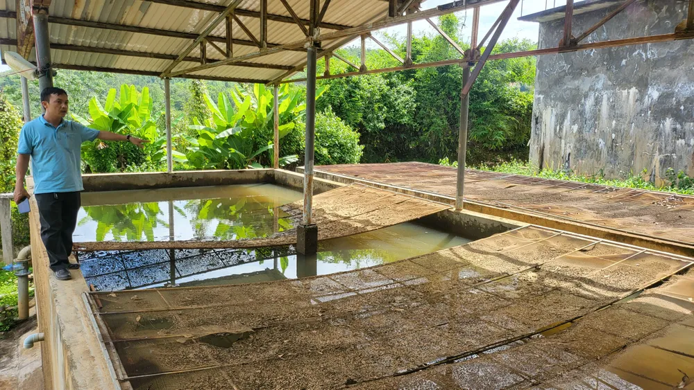 Bề mặt bể lắng, lọc có nhiều bùn đất vón thành cục bám trên lưới Bề mặt bể lắng, lọc có nhiều bùn đất vón thành cục bám trên lưới