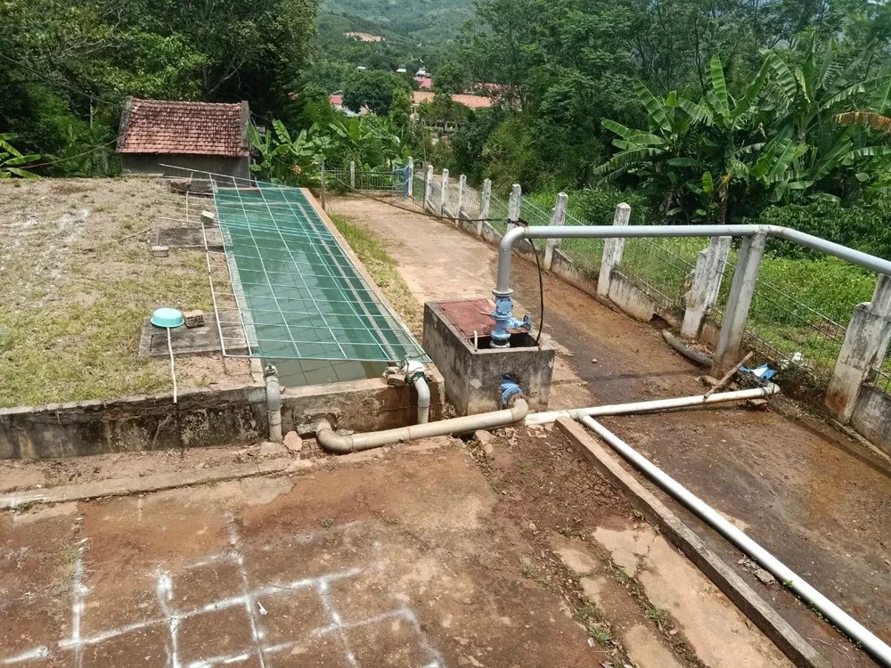 Cỏ đã được phát dọn