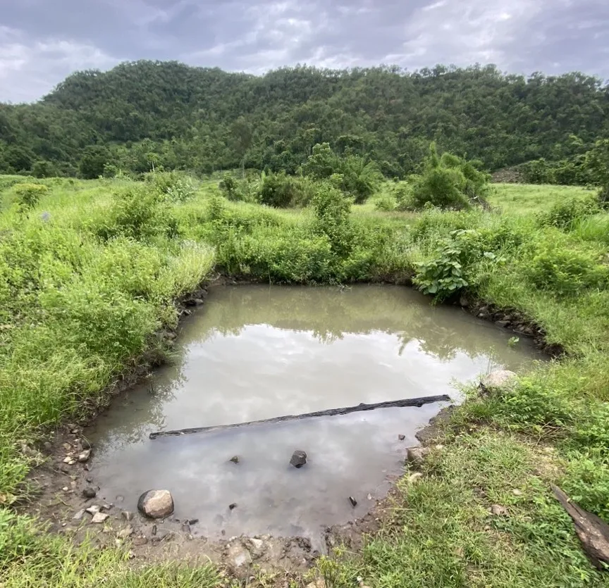 Hiện trường vụ việc