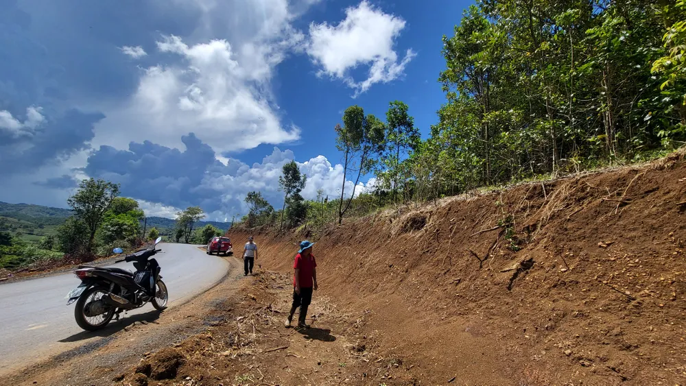 Vị trí cây cà phê của ông A Brên bị múc khi chưa đền bù