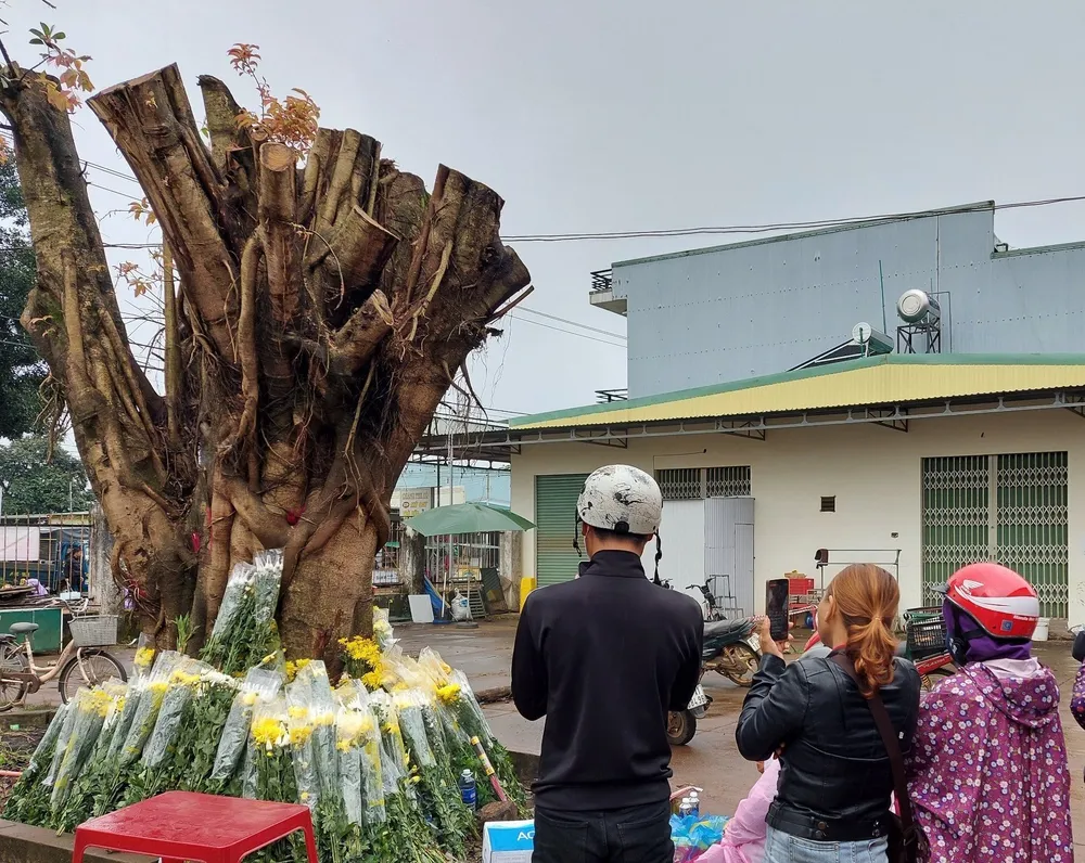 Người dân đến đặt hoa. Ảnh: HT Người dân đến đặt hoa. Ảnh: HT