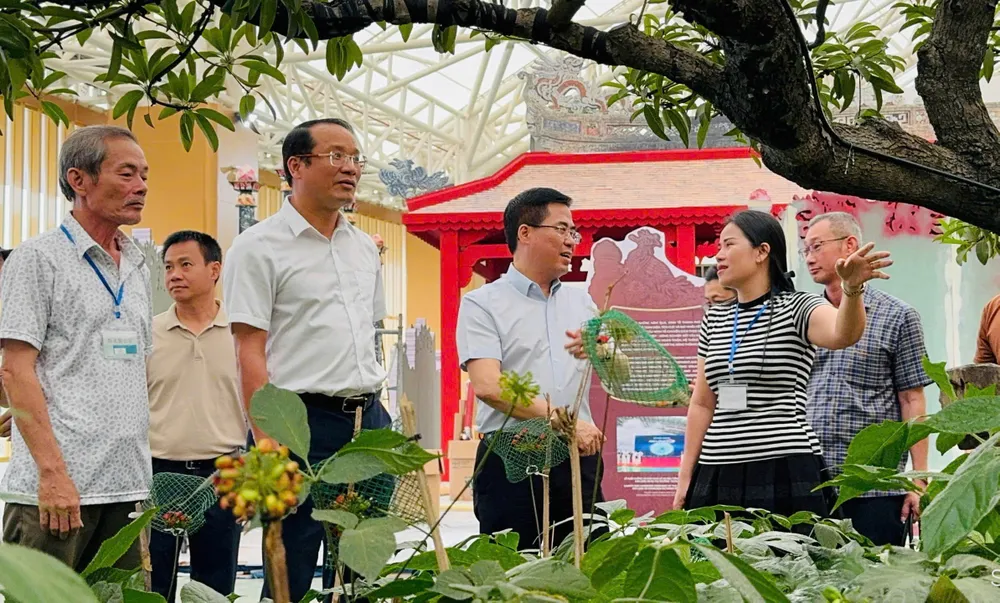 Ông Nguyễn Hoàng Giang (thứ 2 từ phải sang), Chủ tịch UBND tỉnh Quảng Ngãi kiểm tra tiến độ thi công không gian trưng bày của Quảng Ngãi. Ảnh: Sở VH-TT-DL tỉnh Quảng Ngãi