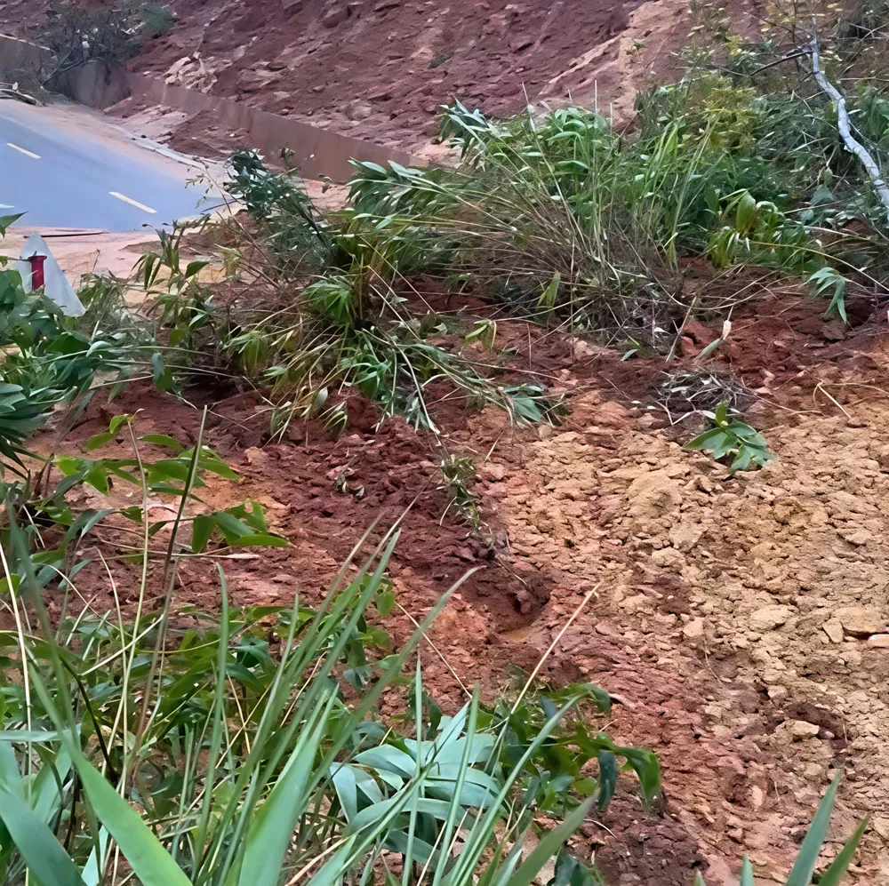 Hiện trường vụ việc