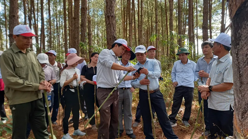 Phó Bí thư Tỉnh ủy Nguyễn Đức Tuy băng rừng khảo sát các điểm du lịch, nhằm giúp địa phương xây dựng các sản phẩm du lịch mới, qua đó giúp đồng bào có thêm nguồn thu, vươn lên thoát nghèo