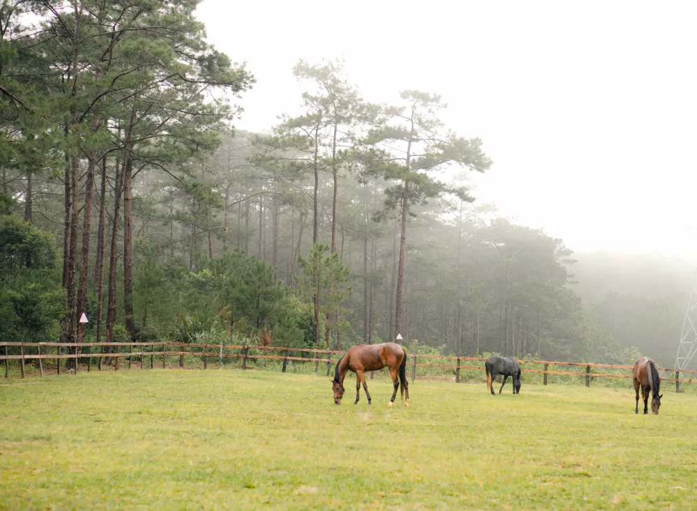 Báº£n sao cá»§a MDB07333.jpg