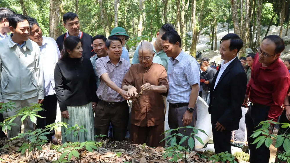 Ảnh – Các đại biểu tham quan vườn sâm Ngọc Linh ở xã Măng Ri, tỉnh Quảng Ngãi.jpg