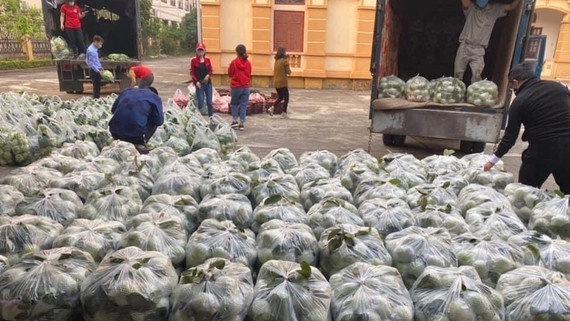 Capital  “rescues” unsellable produce from pandemic-stricken province ảnh 1