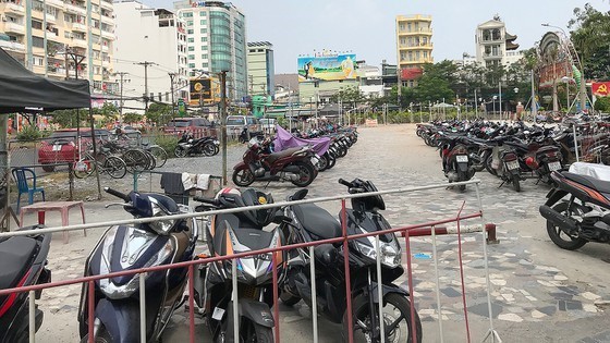 HCMC to look into non-state resources for green urban space ảnh 2