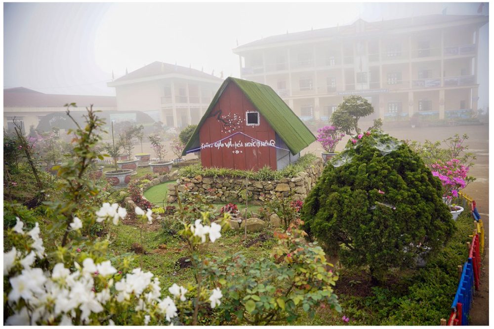 “Rhododendron school” a tourism hit in Lao Cai ảnh 4