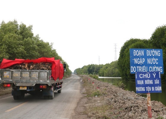 Traffic infrastructures in Mekong Delta still lacking ảnh 2