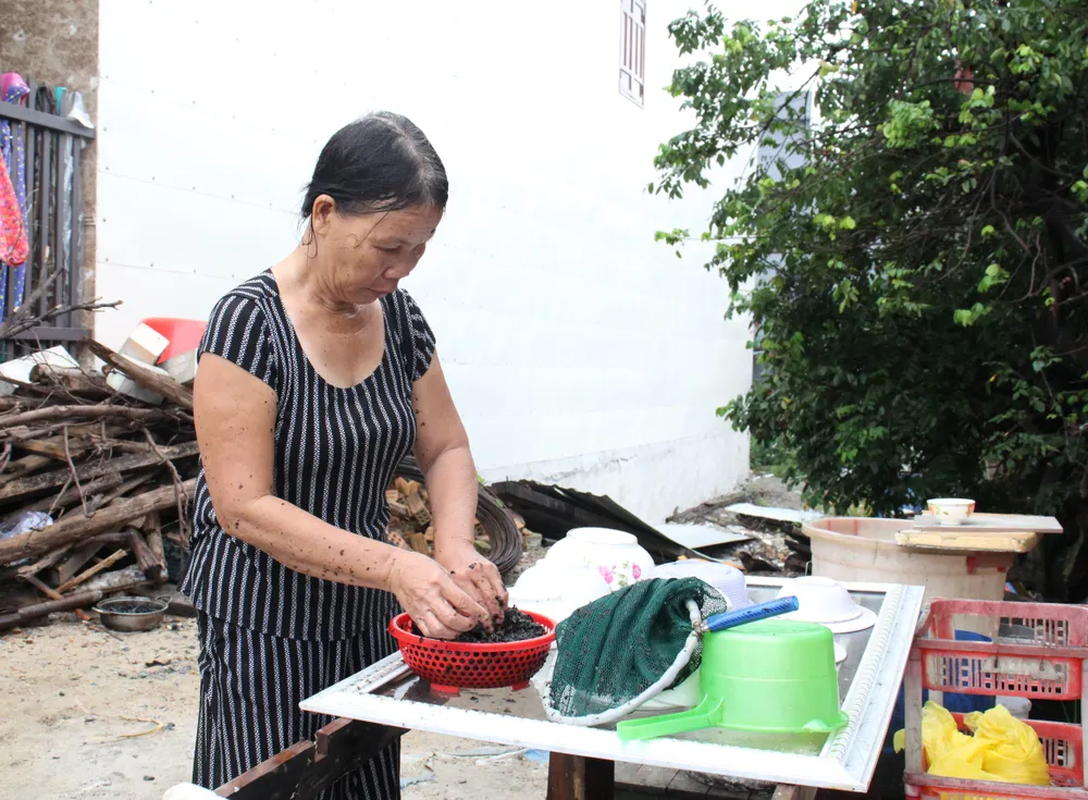 Mưu sinh với nghề hái rong biển ở ghềnh Nam Ô ảnh 5