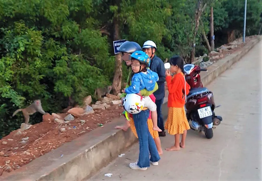 Một nam thanh niên bắt trộm khỉ con tại chùa Linh Ứng ảnh 1