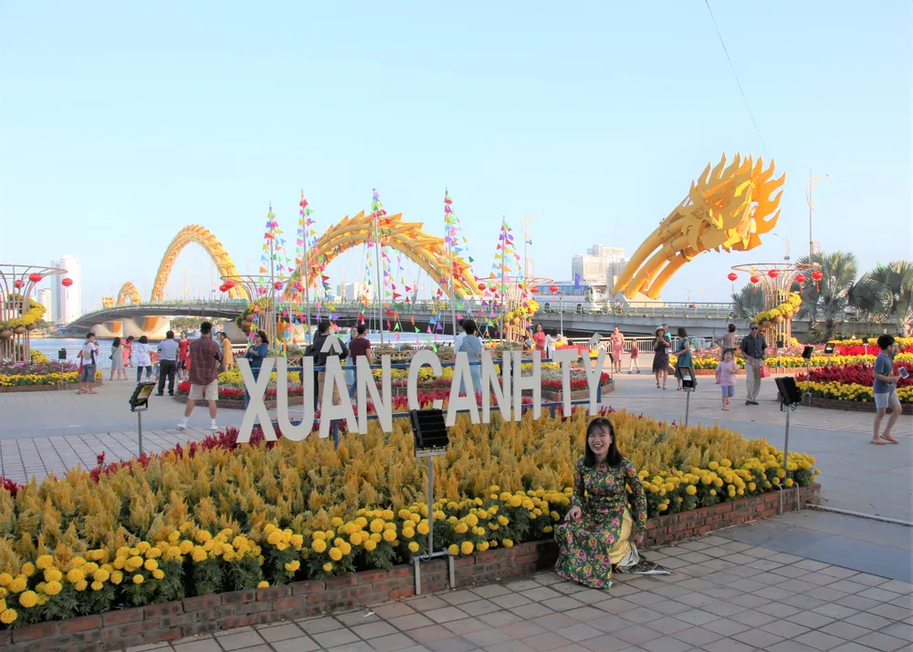 Đà Nẵng ngập tràn sắc xuân với đường hoa Tết  ảnh 2