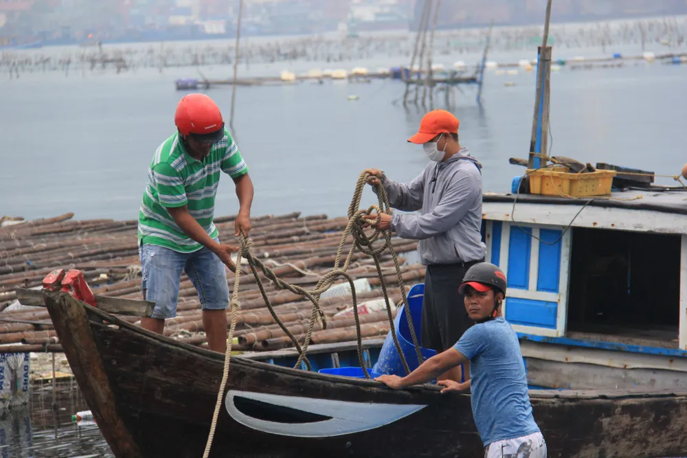 Đà Nẵng ráo riết chuẩn bị phòng bão số 5 ảnh 17