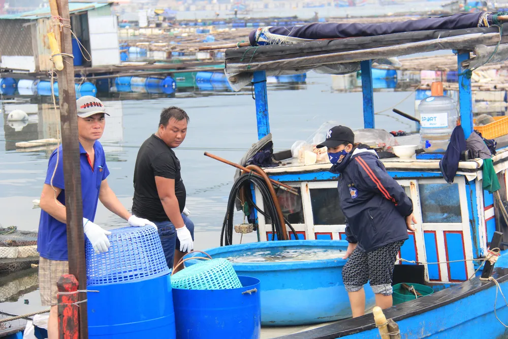 Đà Nẵng ráo riết chuẩn bị phòng bão số 5 ảnh 15