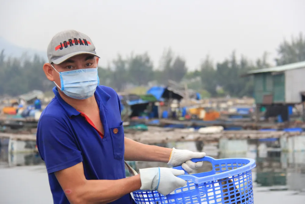 Đà Nẵng ráo riết chuẩn bị phòng bão số 5 ảnh 16