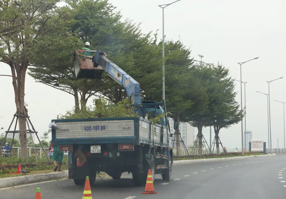 Đà Nẵng ráo riết chuẩn bị phòng bão số 5 ảnh 11