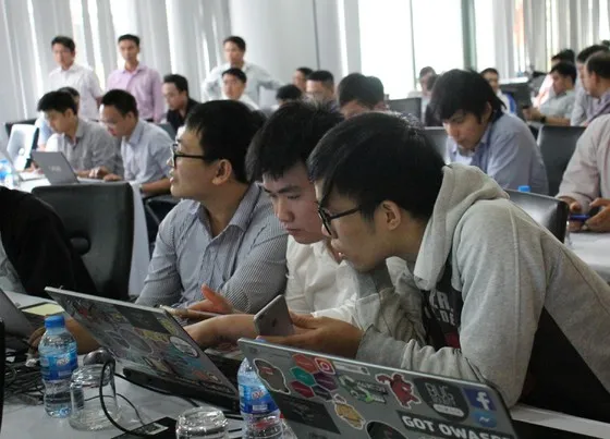 Đà Nẵng xúc tiến đầu tư ICT Nhật Bản  ảnh 2