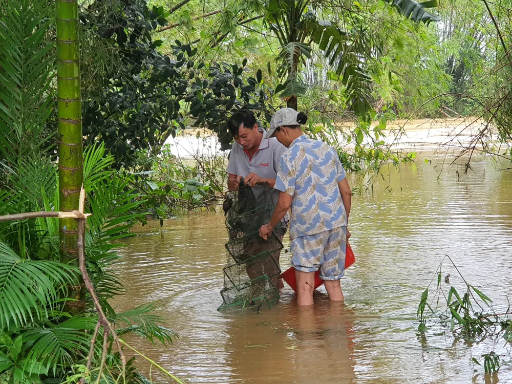 Sinh hoạt của người dân vùng lũ Đà Nẵng  ảnh 7