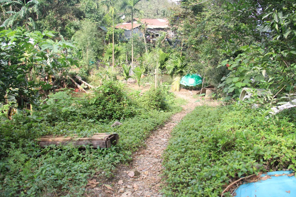 Đà Nẵng “chạy đua” chống cơn bão số 13 ảnh 4