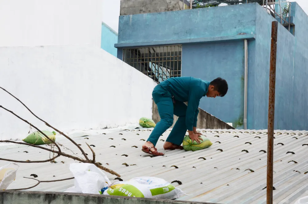 Di dời dân, chằng chống nhà cửa trước cơn bão số 13  ảnh 17