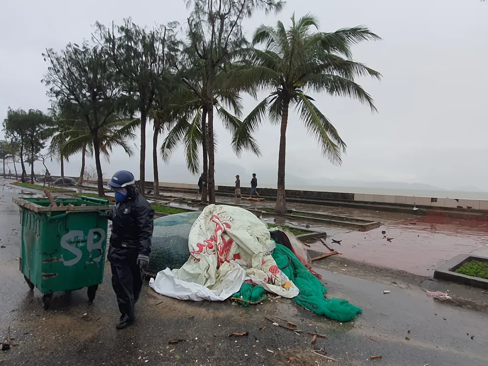 Quảng Bình mưa trắng trời, Huế cây cối ngã đổ ảnh 21