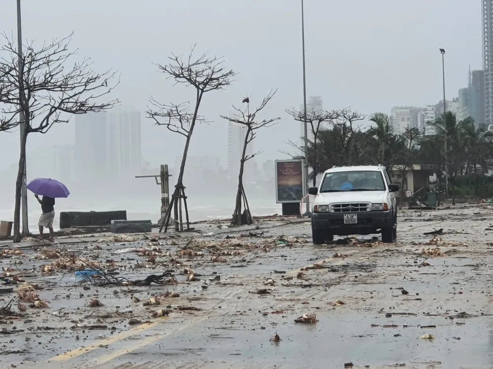 Quảng Bình mưa trắng trời, Huế cây cối ngã đổ ảnh 22