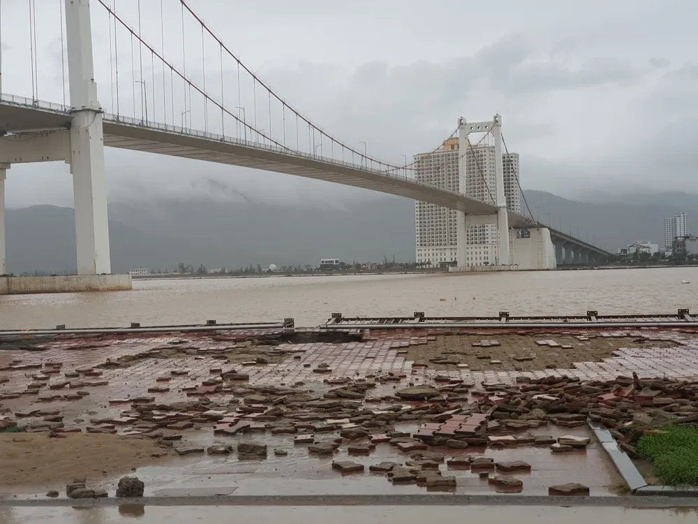 Quảng Bình mưa trắng trời, Huế cây cối ngã đổ ảnh 18