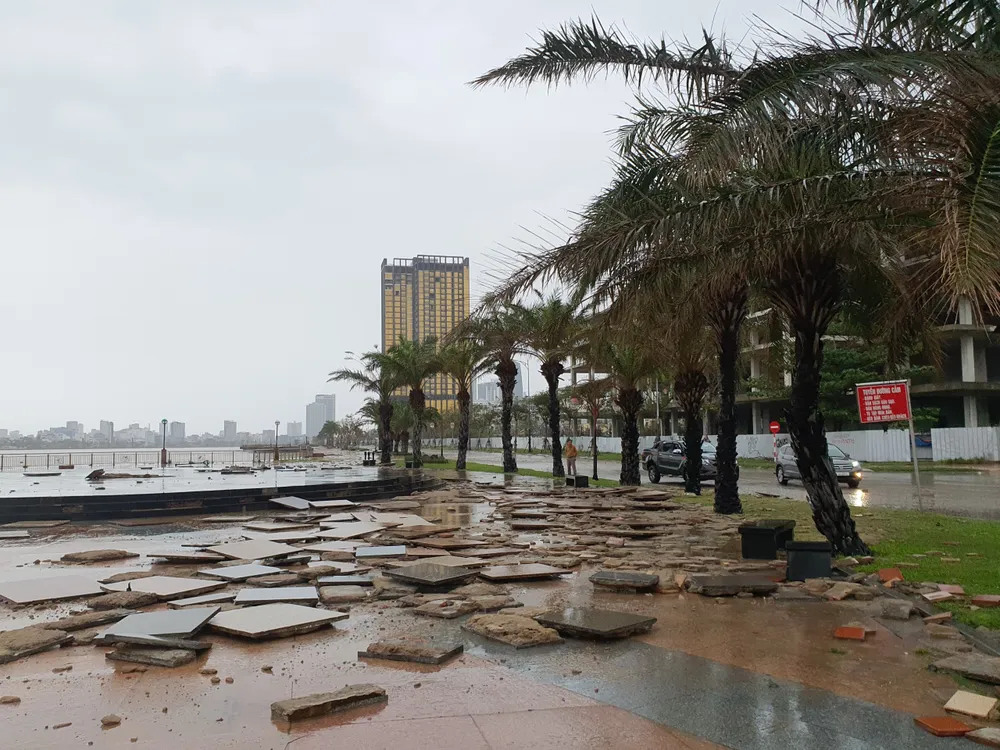 Quảng Bình mưa trắng trời, Huế cây cối ngã đổ ảnh 19