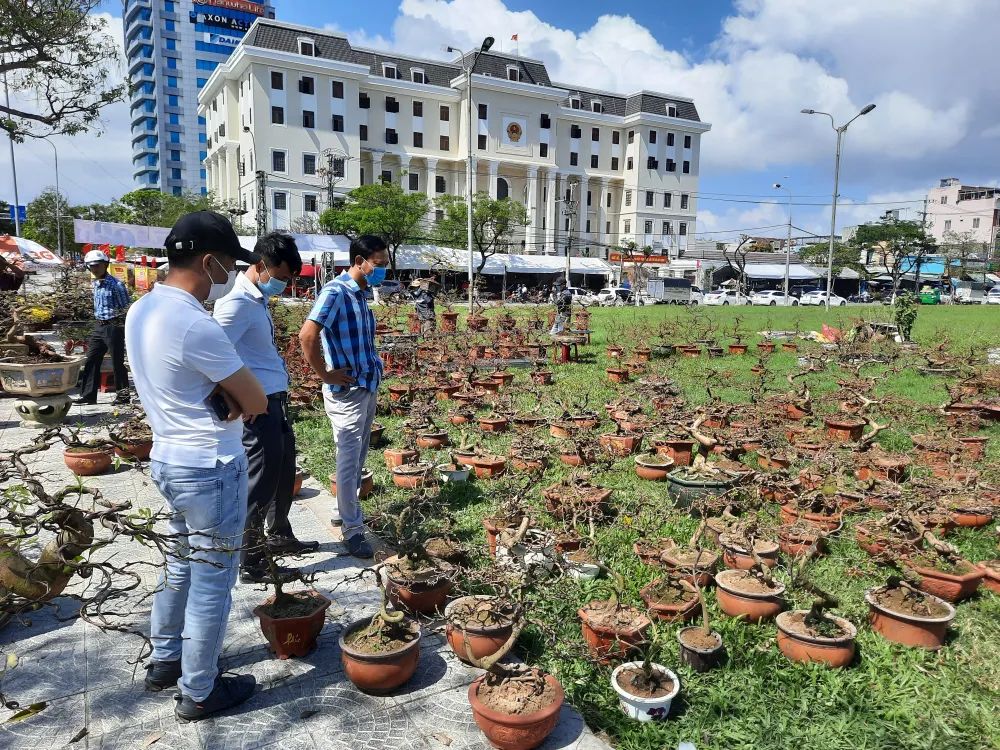 Tiểu thương chợ hoa tết ở Đà Nẵng “nhớ” người mua ảnh 3