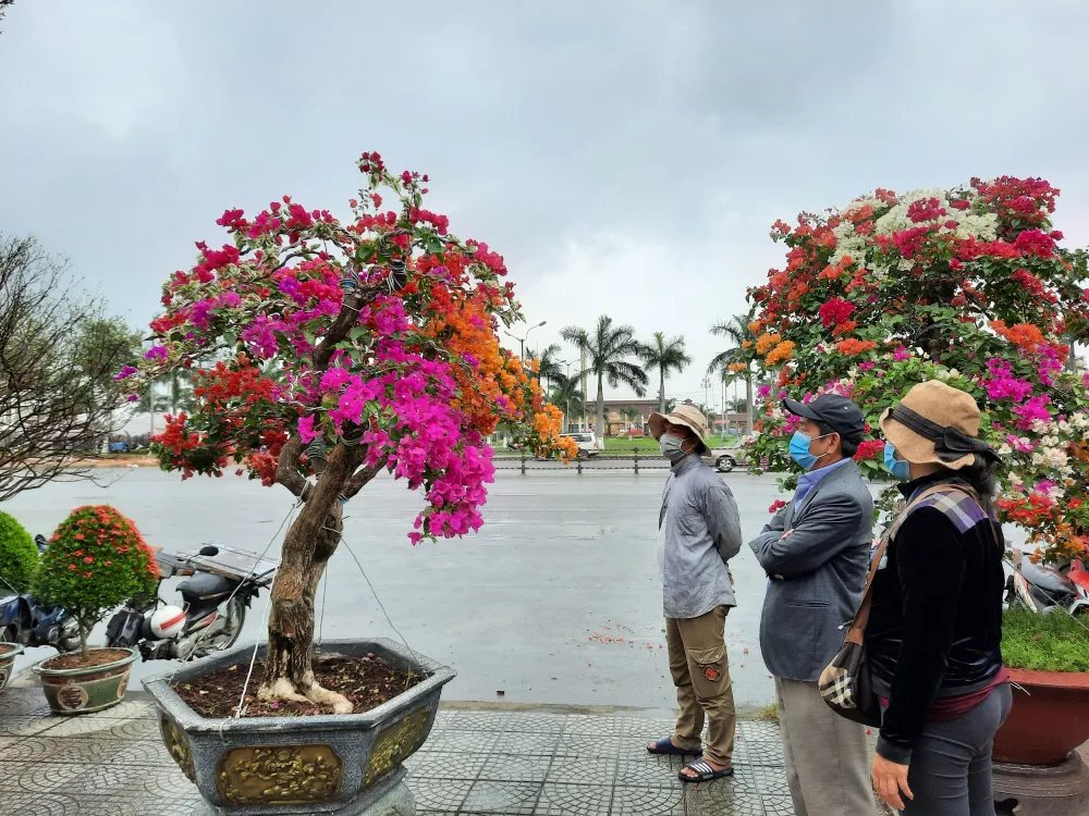 Tiểu thương chợ hoa tết ở Đà Nẵng “nhớ” người mua ảnh 4