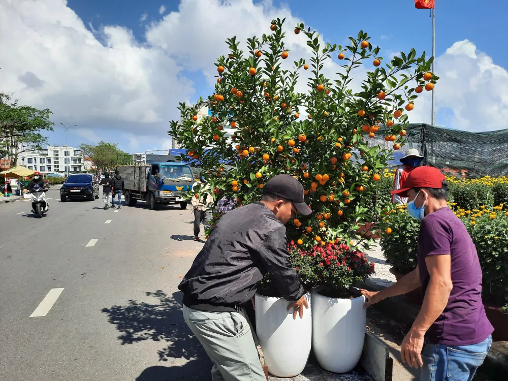 Tiểu thương chợ hoa tết ở Đà Nẵng “nhớ” người mua ảnh 7