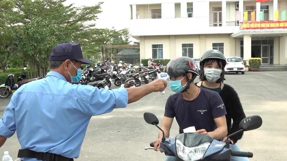 Đà Nẵng: Người dân hào hứng với vườn cúc họa mi trái mùa  ảnh 10