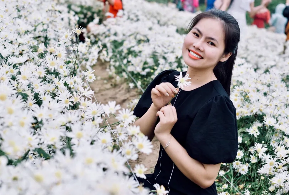 Đà Nẵng: Người dân hào hứng với vườn cúc họa mi trái mùa  ảnh 5