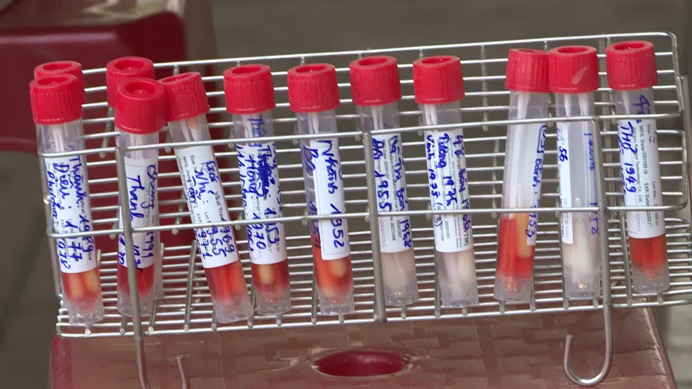 Đà Nẵng: Bệnh nhân Covid-19 đi chợ Phước Mỹ, hơn 500 tiểu thương được lấy mẫu xét nghiệm ảnh 2