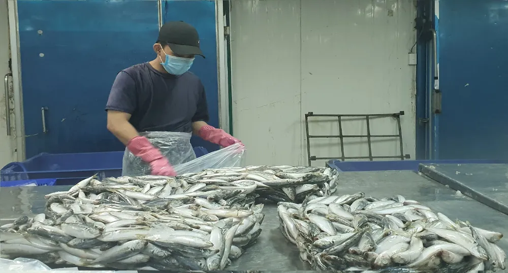 Chút quà quê của người dân Đà Nẵng gửi đến TPHCM ảnh 6