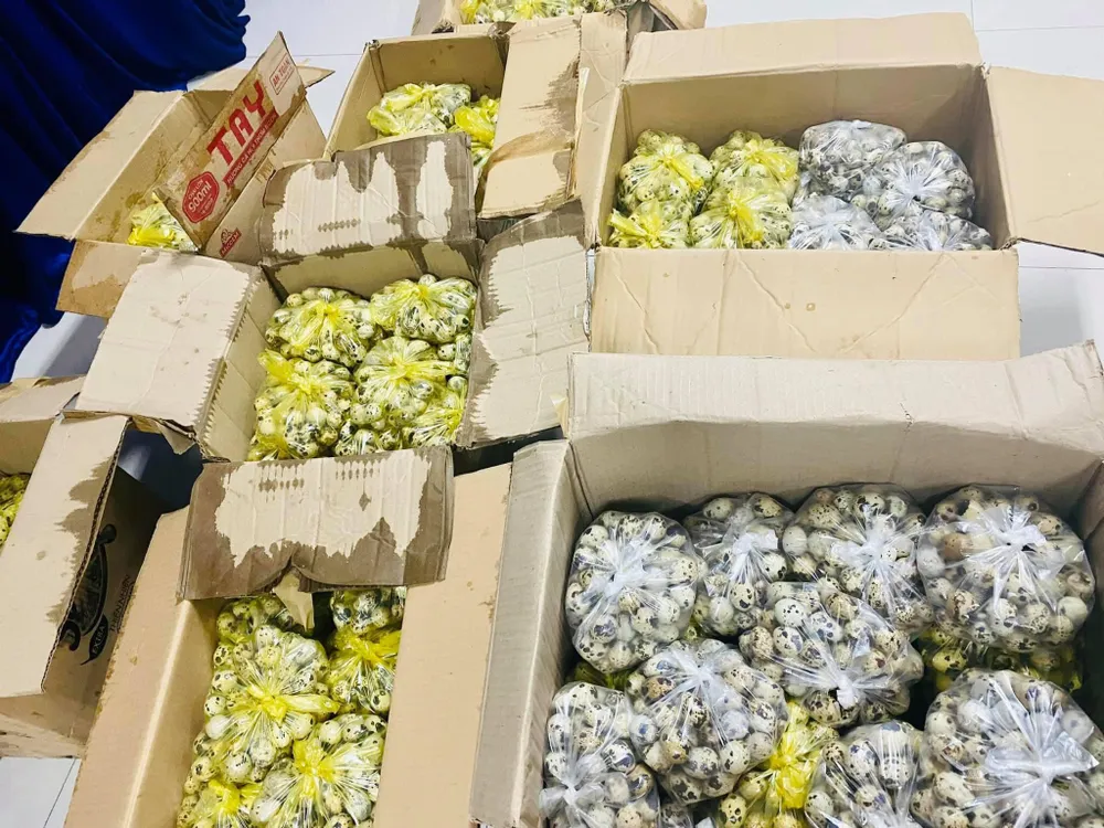 Công an Đà Nẵng mở 30 container phục vụ hàng thiết yếu giá rẻ cho người dân ảnh 3