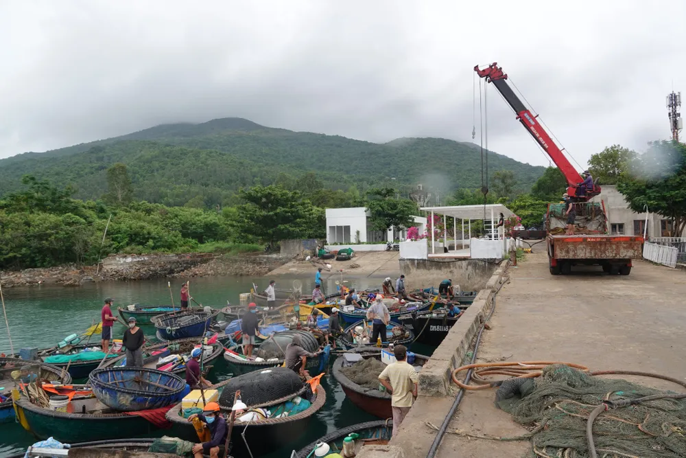 Đà Nẵng: Tất bật chống bão Conson giữa dịch Covid-19 ảnh 5