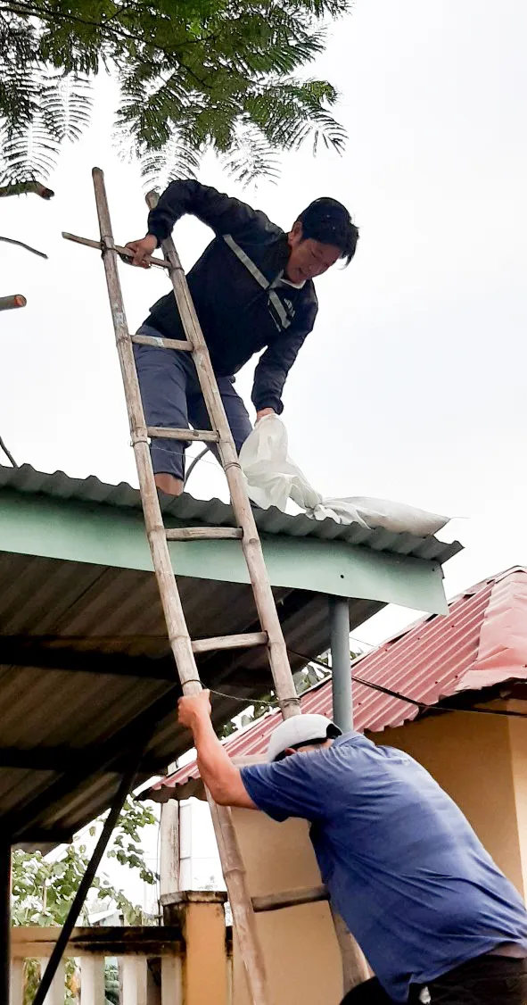 Đà Nẵng: Tạo điều kiện cho địa phương sử dụng cơ sở giáo dục làm nơi tập kết, sơ tán dân ảnh 6