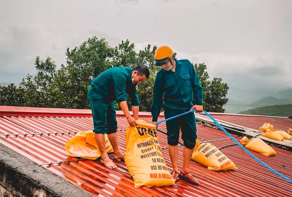 Đà Nẵng: Tạo điều kiện cho địa phương sử dụng cơ sở giáo dục làm nơi tập kết, sơ tán dân ảnh 7