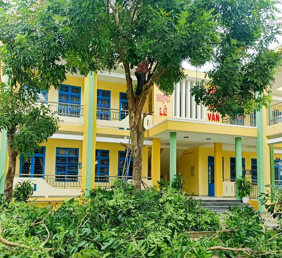 Đà Nẵng: Tạo điều kiện cho địa phương sử dụng cơ sở giáo dục làm nơi tập kết, sơ tán dân ảnh 1