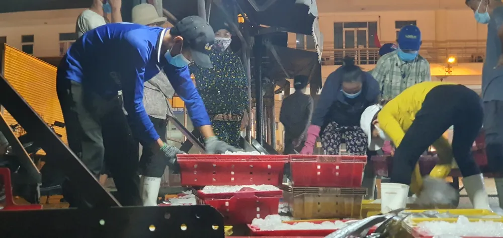 Xuyên đêm lấy mẫu xét nghiệm SARS-CoV-2 tại Cảng cá Thọ Quang ảnh 8